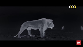 زمین در شب به صورت رنگی ؛ 2021 ؛ فصل 2 ؛ قسمت 4