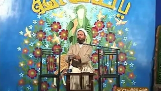 ماجرای زوج آمریکایی ای که امام رضا(ع) را در حرم دیدند و با ایشان گفتگو کردند