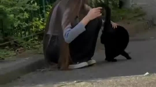 عررررر پیشییییی