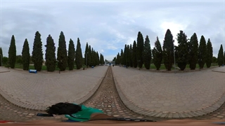 بیرجند  بوستان توحید