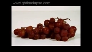 ۵.فساد موادغذایی