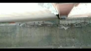 چگونه کنه و مایت وارد خانه ها می شوند؟