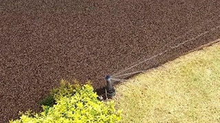 دکوراسیون و محوطه سازی هتل فرهیختگان، اجرای سنگفرش دکوراتیو ویتو