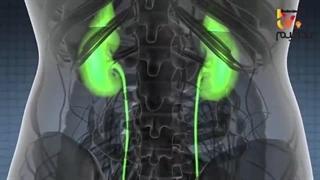 دلیل جمع شدن پنبه در داخل ناف