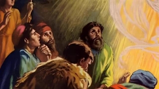 داستان قرآنی حضرت خضر و موسی | اسرار و حقایق زندگی پیامبران