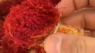 قیمت و خرید زعفران دسته | خرید و قیمت زعفران دختر پیچ قاینات عمده - فروشگاه زعفران آنا قاین