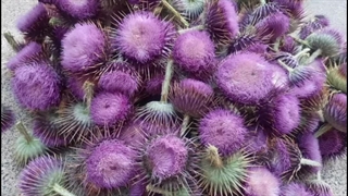 هعی ، دلم خواس :)