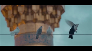 حرم مطهر رضوی در دهه کرامت - جشن میلاد خواهر و برادر