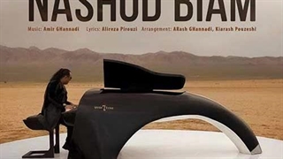 7 باند نشد بیام