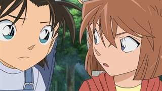 انیمه کاراگاه کونان(Detective Conan)قسمت1011با زیرنویس فارسی