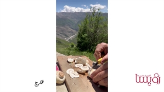 لذت آشپزی در طبیعت با رویسا_ آموزش پیراشکی قارچ و گوشت
