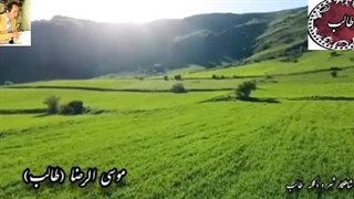 غزل زیبا : شاهکار شورانگیز شعر رخصت عطر تنت با صدای شاعر طالب اردبیلی