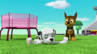 سگهای نگهبان۶۱