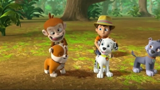 سگهای نگهبان۶۷