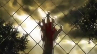 افکت کراپ نوری جذاب مخصوص نرم افزارهای تدوین و اینشات