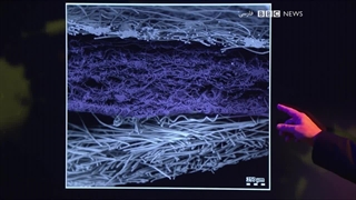 سخنرانی‌های کریسمس با جاناتن ون-تم ؛ فصل 2021 ؛ قسمت 2