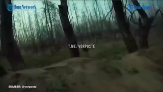 14020316: جنگ روسیه-ناتو: پناهنده شدن دو سرباز اوکراینی