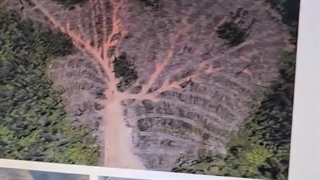 ساخت انواع ویلاهای پیش ساخته با سازه سبک | ال اس اف سازان | ویلا | ال اس اف