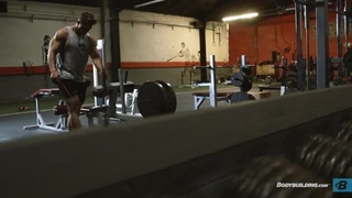 بخش تقارن عضلانی برنامه فیزیک مدرن ۸ هفته‌ای عضله سازی استیو کوک The Modern Physique