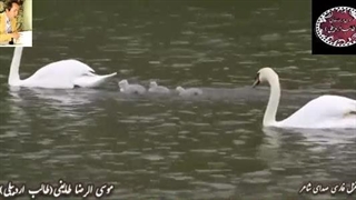 نوای عاشقانه و غمگین|شعر زیبا از طالب اردبیلی | صدای سوزناک شاعر