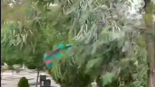 طوفان در بهشت زهرا و دعای معجزه گر مادرم اکرم سلطان هایفوتراپی