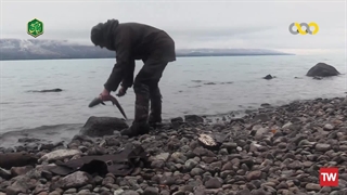 تنها ؛ 2021 ؛ فصل 8 ؛ قسمت 8