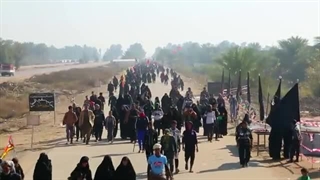 روز وفا | علی فانی