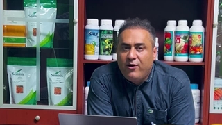 تولید استاندارد کود ورمی کمپوست رویال کشت با شاخص قیمت بر مبنای کیفیت