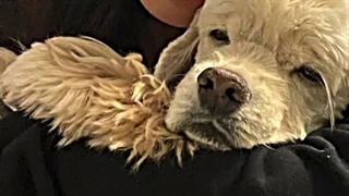 ولی کای خیلی کیوت بود