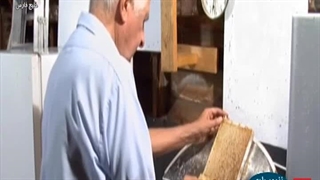 استخراج عسل با استراکتور