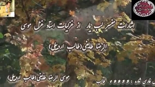 شاعر آذربایجانی طالب | شاعر اردبیلی | غزل ماندگار اشارات مفسر طالب | آوای طالب دکلمه دلنشین