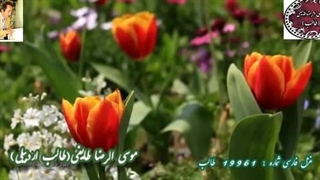 شاعر شیرین سخن آذربایجانی طالب | آوای عاشقی طالب | رحمی کن ای نامهربان با عطر عشق و صدای طالب