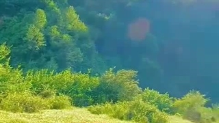 طبیعت گردی
