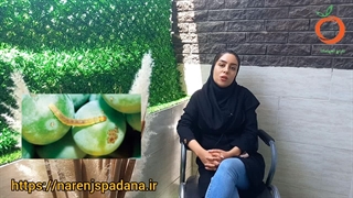 روش مبارزه با کرم خوشه خوار انگور