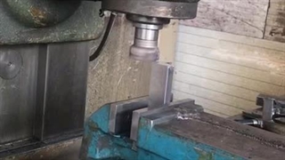 لوتوس فرمینگ