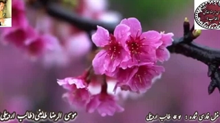 آوای نجیب شاعر آذربایجانی طالب| تضمین غزل مولانا از غزلسرا و شاعر طالب اردبیلی