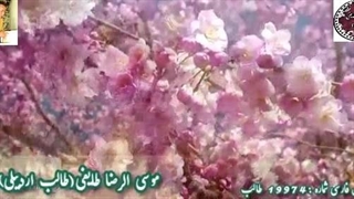 موکب خیال و جهاز عشق از غزلیات شورانگیز شاهکار طالب با عنوان چشم مست و مستور با صدای شاعر