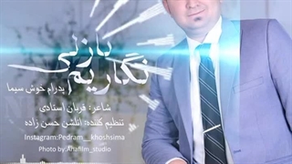 دانلود آهنگ جدید پدرام خوش سیما به نام نازلی نگاریم