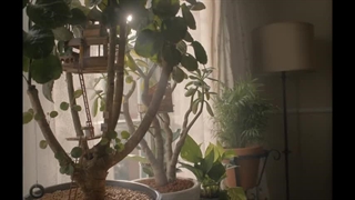 تریلر انیمیشن Marcel the Shell with Shoes On 2022