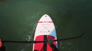 پدل برد های پویانیز هم