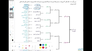 حل فعالیت صفحه 96 ریاضی یازدهم تجربی