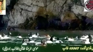 آوای شعرآوای شاعر | دار زنم عقل سرم را از غزلیات شورانگیز شاهکار طالب آذربایجانی |نوای عشق و عرفان