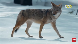 پارک‌های قاره آمریکا ؛ 2022 ؛ فصل 1 ؛ قسمت 2