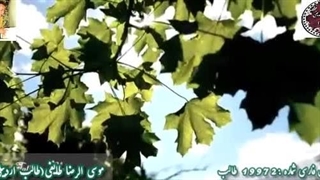 شاهکار غزل شورانگیز| آوای عاشقی شاعر آذربایجانی| در چشم من از طالب