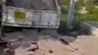 فروش سنگ ورقه ای؛مالون لاشه کوهی