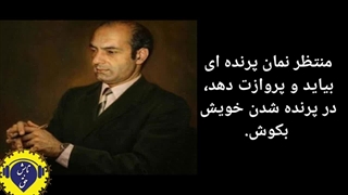 سخنان تکان دهنده از دکتر علی شریعتی در روز درگذشت ایشان