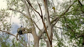 حیوانات فیلم‌بردار ؛ 2021 ؛ فصل 2 ؛ قسمت 2