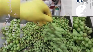 دستگاه ابگیری غوره و انگور ۰۹۱۳۸۸۰۳۱۰۱