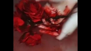 رنگ هر تایپ mbti پارت 1