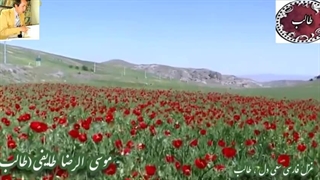 دکلمه زیبا و رویایی سعی دل | اشعار شیوا و فصیح طالب | آوای ماندگار 4